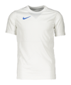 Nike Park VII Trikot Kids Weiss Blau F102