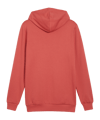 PUMA BVB Dortmund Ftbl ICONS Hoody Rot F04 - rot