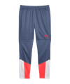 Pantalon de Training PUMA individualCUP blanc F53 