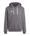 Sweat à capuche gris adidas Entrada 22 