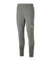 Pantalon de Training PUMA teamCUP gris F13 