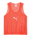 PUMA teamADDITIONS BIB Rood K29 