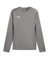 Sweatshirt PUMA teamGOAL training gris F13 