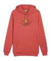 PUMA BVB Dortmund Ftbl ICONS Hoody Rot F04 - rot