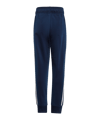 adidas Originals Adicolor SST Track Suit Blue - blau
