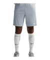 Nike Strike Short Grau F012