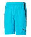 PUMA teamLIGA Pantaloncini Kids Blu C040 