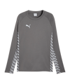 PUMA teamLIGA26 Training Sweatshirt Gris C13 