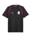 PUMA Galatasaray Istanbul Training Maillot Gris C05