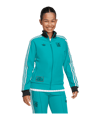 adidas FC Liverpool Icon Track Sweatshirt Kids Grün - gruen