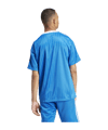 adidas Originals Adicolor Poly T-Shirt Blau Weiss - blau