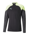 PUMA individualCUP HalfZip Sweatshirt Top F51