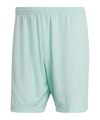 adidas Entrada 22 pantaloncini turchese  