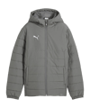 PUMA teamADDITIONS Veste Enfants Gris C13 