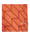 adidas Team Icon 23 Trikot Kids Orange - orange