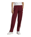 adidas Originals Adicolor Classics Firebird Track Pants Burgundy - rot