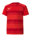 PUMA teamVISION Trikot Kids Rot F01