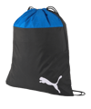 PUMA teamGOAL 23 sporttas schoenentas blauw F02 