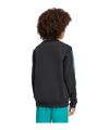 adidas FC Liverpool Icon Sweatshirt Kids Schwarz - schwarz