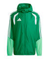 adidas Tiro 26 Competition Giacca da allenamento Verde