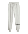 PUMA Hoops Team Sweat Jogginghose Grau F03