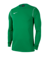 Nike Park 20 Sweatshirt Kids Grün F302