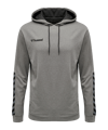 Hummel Authentic Poly Hoody Grau F2006