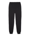 PUMA BVB Dortmund Ftbl ICONS Trainingshose Schwarz F03 - schwarz