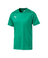 PUMA LIGA Core Trikot kurzarm Grün Weiss F05