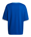 adidas Argentinien Icon 34 Jersey Blau - blau