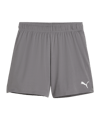 PUMA TeamGOAL Korte Broek Dames Grijs Wit F13  