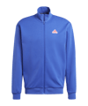 adidas Future Icons Badge of Sport felpa blu 