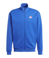 adidas Future Icons Badge of Sport Sweatshirt Blau