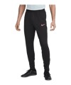 Nike Strike Pantalon d'entraînement Noir C016