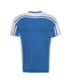 11teamsports Clásico Trikot Kids Blau Weiss F40 - blau