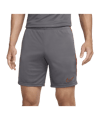 Nike Academy 23 short gris F068 