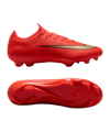 Nike Air Zoom Mercurial Vapor XVII Pro FG Break'Em Rouge C600