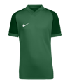 Nike Trophy VI Trikot Kids Grün F302