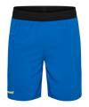 Hummel Blaze Pro Training Korte broek Blauw K8650 