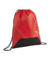 PUMA teamGoal Gymbag rosso F03 