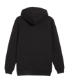 PUMA BVB Dortmund Ftbl ICONS Hoody Schwarz F03 - schwarz