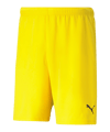 PUMA Korte broek Geel K007 