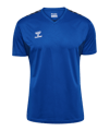 Hummel hmlAUTHENTIC Poly Trikot Blau F7045
