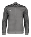 PUMA teamGOAL Casual Trainingsjacke Grau Weiss F13