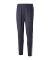 PUMA teamCUP Casuals Jogginghose Blau Grau F06