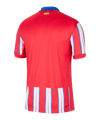 Nike Atletico Madrid Trikot Home 2024/2025 Blau F406 - blau