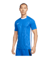 Nike Challenge V Shirt Blauw Wit F463  