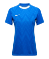 Nike Shirt Blauw K463 