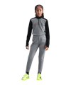 Nike Academy 25 Trainingshose Kids Grau F066