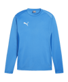 Sweatshirt PUMA teamGOAL training bleu F02 